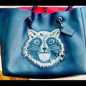 Gorgeous and Rare Coach Tote